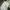 Streetwear Casual Fleece Pria white gray photo 4