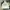 Streetwear Casual Fleece Pria white gray photo 1