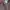 H&M Luxury Minimalist Wanita pink photo 8