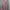 H&M Luxury Minimalist Wanita pink photo 6