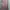H&M Luxury Minimalist Wanita pink photo 4