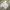 Casual T-shirt Pria white photo 4