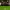 Adidas Casual Sneakers Pria green gray photo 3