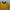 Nike Vintage Y2K Jersey Kids blue yellow photo 3