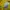 Nike Streetwear Casual Jersey Pria yellow photo 5