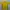 Nike Streetwear Casual Jersey Pria yellow photo 1