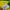 Nike Streetwear Casual Jersey Pria yellow photo 4