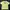 Casual T-shirt Pria yellow photo 1