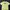 Casual T-shirt Pria Yellow