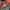 Blackyak Streetwear Gorpcore Track jacket Pria orange photo 7