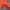 Blackyak Streetwear Gorpcore Track jacket Pria orange photo 6