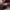 Michael Kors Casual Crossbody Bag Wanita tan photo 3