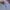Uniqlo Streetwear Casual Formal shirt Pria white blue photo 4