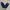 Casual High waisted jeans Wanita navy photo 6