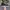 VANS Streetwear Casual Sneakers Pria white black photo 1