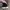 VANS Streetwear Casual Sneakers Pria white black photo 5