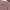 Fred Perry Luxury Casual Casual shirt Pria white red photo 4