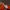 Vintage Hat Pria orange photo 8