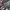 Japanese brand Y2K Avant Garde Skirt Wanita multicolor photo 6