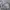 Luxury Minimalist Shoulder bag Wanita white cream photo 1
