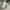 Mahagrid Avant Garde Hoody Pria gray photo 4