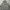 Mahagrid Avant Garde Hoody Pria Gray
