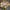 Nike Streetwear Sneakers Pria brown photo 6