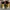 Nike Streetwear Sneakers Pria brown photo 3