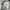 Gorpcore Grunge Puffer jacket Pria gray photo 5