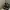 Rick Owens Streetwear Y2K Sneakers Pria white black photo 1