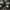Compass Streetwear Sportswear Sneakers Pria black photo 5