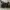 Compass Streetwear Sportswear Sneakers Pria black photo 3