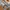 Sportswear Casual Sweater Pria silver photo 4