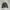 Carhartt Vintage Casual Track jacket Pria green gray photo 1