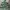 Champion Skater Casual Hoody Pria multicolor green photo 1