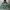 Champion Skater Casual Hoody Pria multicolor green photo 5