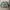 Casual Sweater Wanita multicolor green photo 1