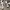 ZARA Casual Hoody Kids black cream photo 2