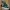 VANS Minimalist Futurist Sneakers Pria white green photo 2