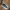 VANS Minimalist Futurist Sneakers Pria white green photo 1