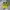 New Balance Streetwear Sportswear Sneakers Pria yellow photo 3