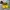 New Balance Streetwear Sportswear Sneakers Pria yellow photo 4