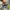 New Balance Streetwear Sportswear Sneakers Wanita gray photo 4