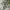 New Balance Streetwear Sportswear Sneakers Wanita gray photo 3