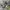 New Balance Streetwear Sportswear Sneakers Wanita gray photo 1