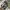 New Balance Streetwear Sportswear Sneakers Wanita gray photo 5