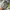 New Balance Streetwear Sportswear Sneakers Pria silver photo 5