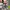 New Balance Streetwear Sportswear Sneakers Pria silver photo 4