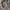 Y2K Minimalist Pleated skirt Wanita multicolor photo 4