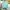 Casual Crop top Wanita multicolor green photo 1